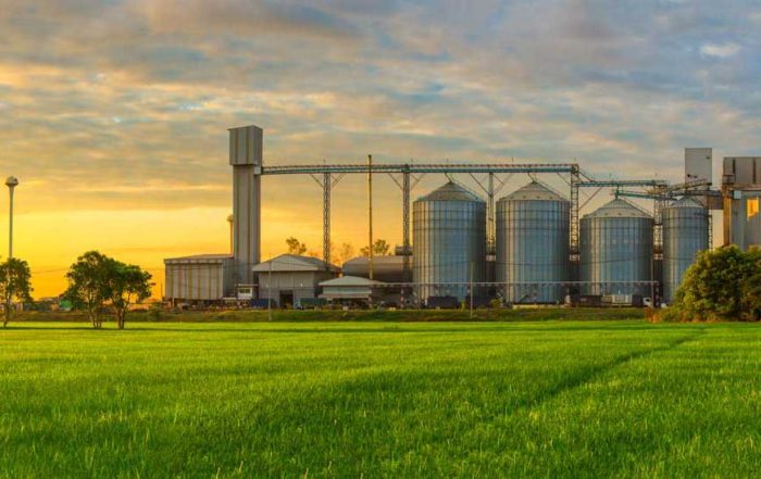 Bourne Recruitment Flour Milling and Agriculture